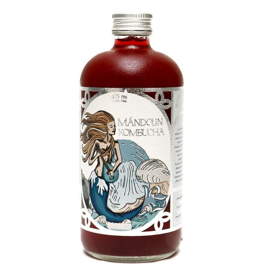 Kombucha sabor Jamaica, Mandolin 475ml.