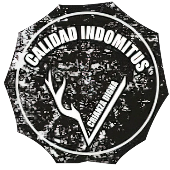 Caldo de hueso de pollo Bone Broth Indomitus, 500ml.