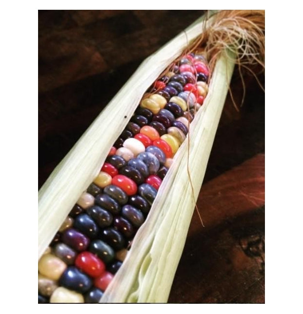 Maíz Palomero Organico Tricolor, Nature Blessing 500g